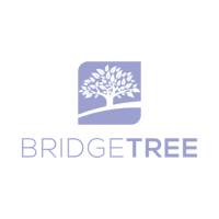 Bridgetree utilizes Quaeris's augmented BI solution to drive marketing expertise